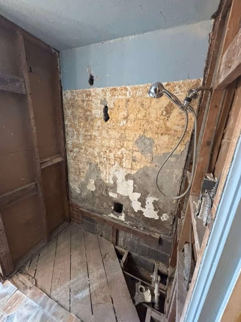 Navarro before renovation: bath