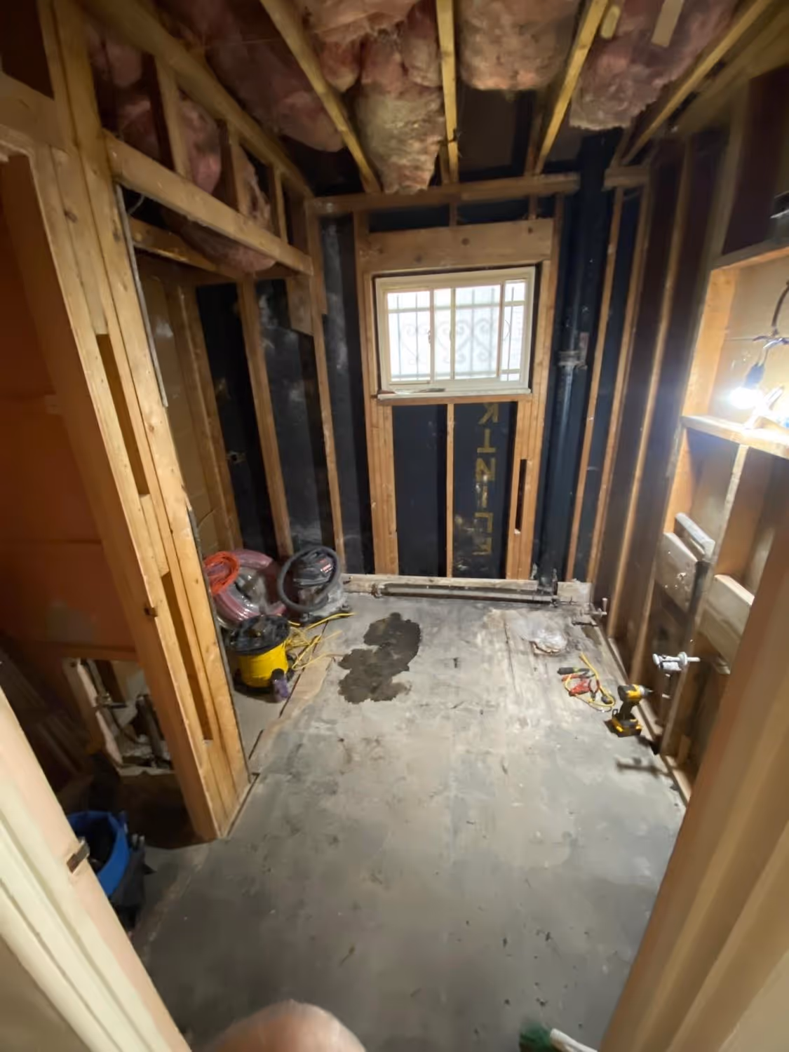 Silverton before renovation: bath